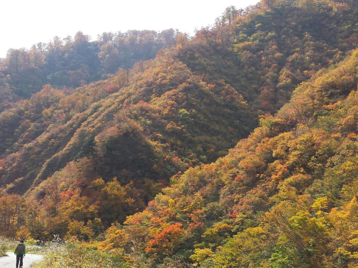 Hotel Ogawa Asahi  Экстерьер фото